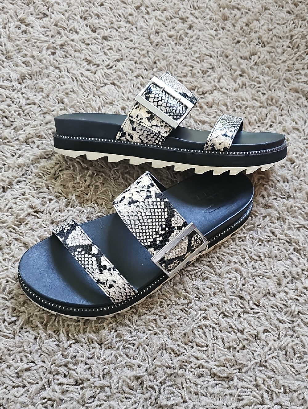 Sorel Roaming Buckle Slide Sandal Snake Python Black 8 Shoe Slip On Leather
